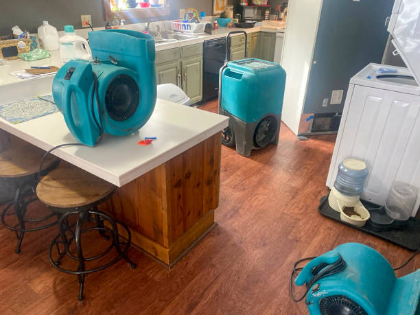 Best 24-hour water damage restoration  in Marquette, MI