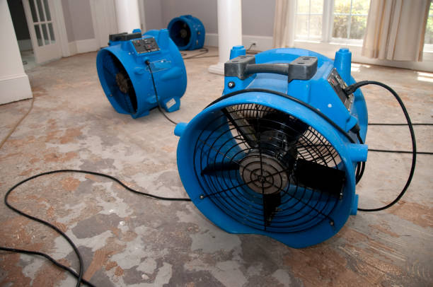  Marquette, MI Water damage restoration Pros