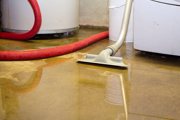 Best Water damage mitigation services  in Marquette, MI
