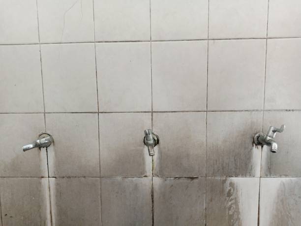 Best Water damage cleanup near me  in Marquette, MI