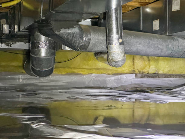 Best Water damage restoration specialists  in Marquette, MI