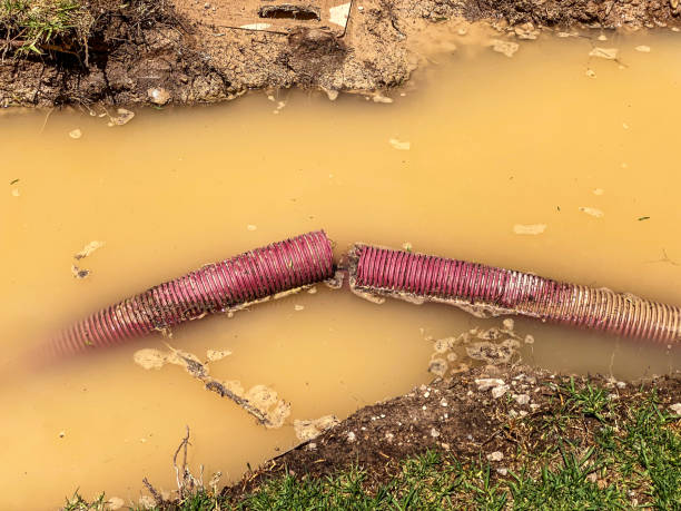 Best Residential water damage restoration  in Marquette, MI